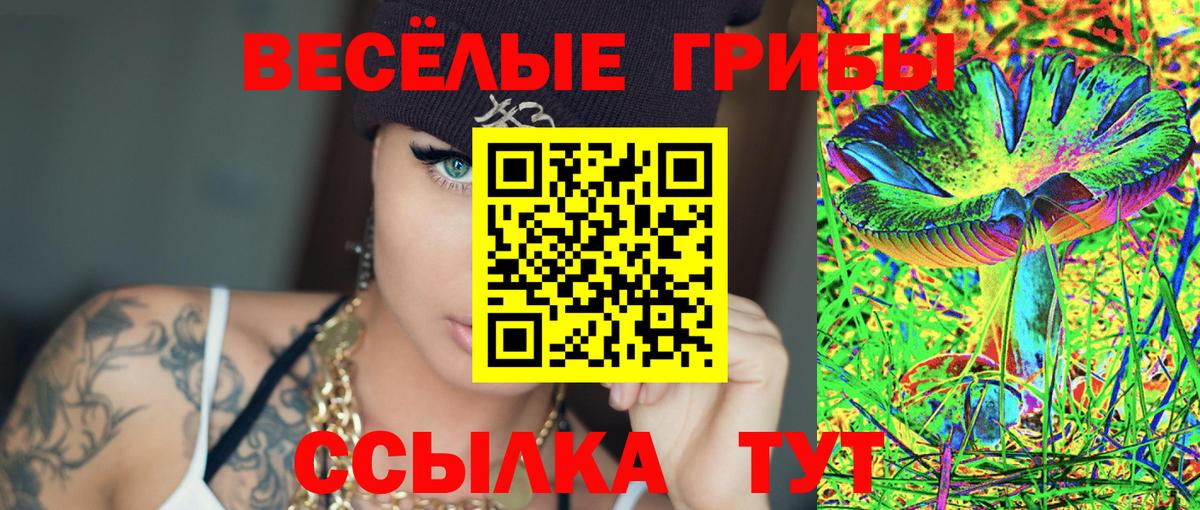 Галлюциногенные грибы MAGIC MUSHROOMS  Вход с VPN  Чехов 